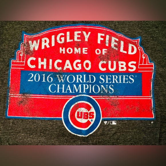 Fanatics Wrigley Field t shirt size L gray Chicago Cubs World Series Champion - Picture 2 of 8